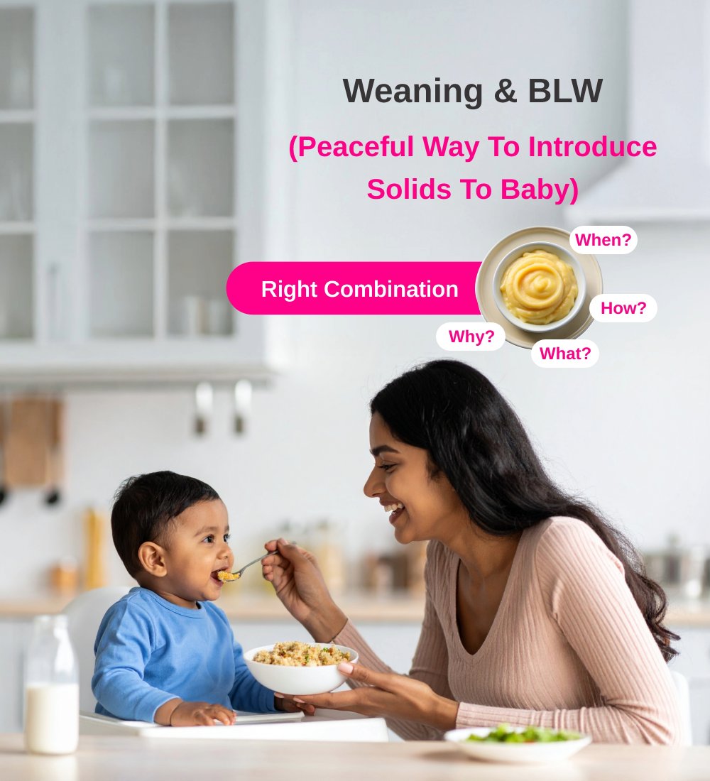 Weaning & BLW(Peaceful Way To Introduce Solids To Baby)_mobile banner